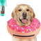 Inflatable Dog Cone 042401